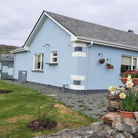 Clifden Wildflower Cottage - Clifden Countryside Lettings Екстериор снимка