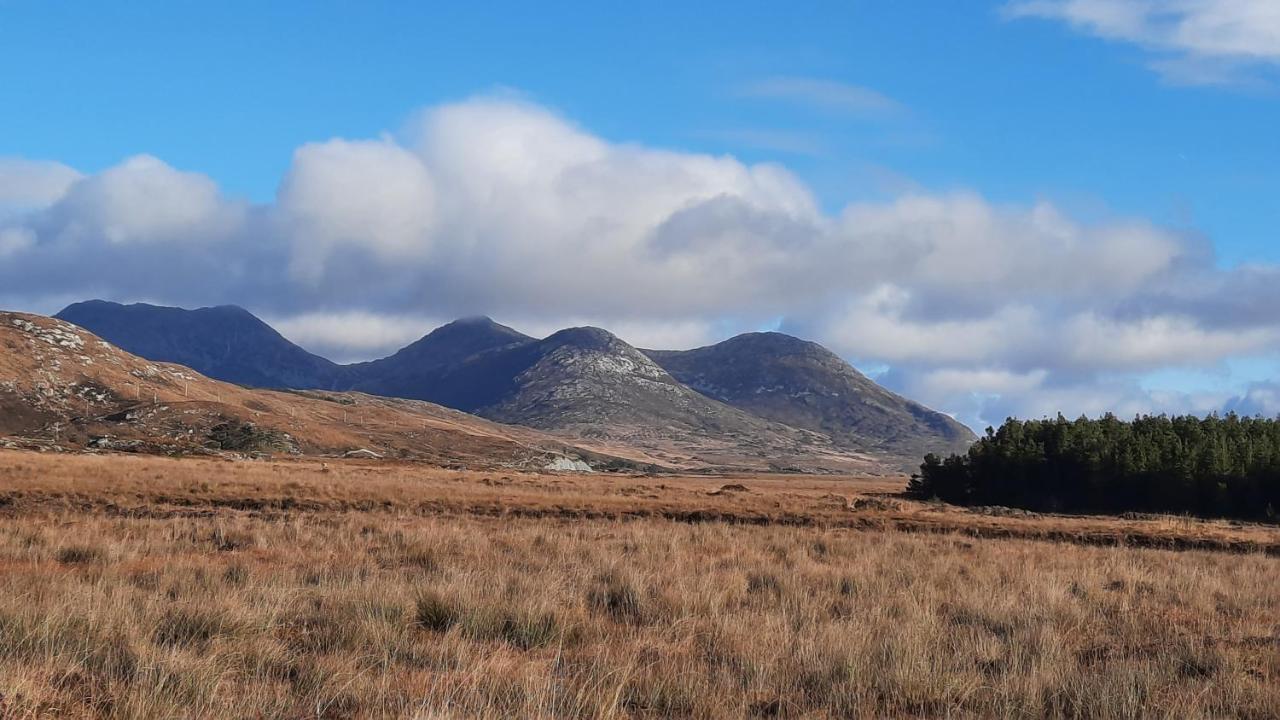 Clifden Wildflower Cottage - Clifden Countryside Lettings Екстериор снимка