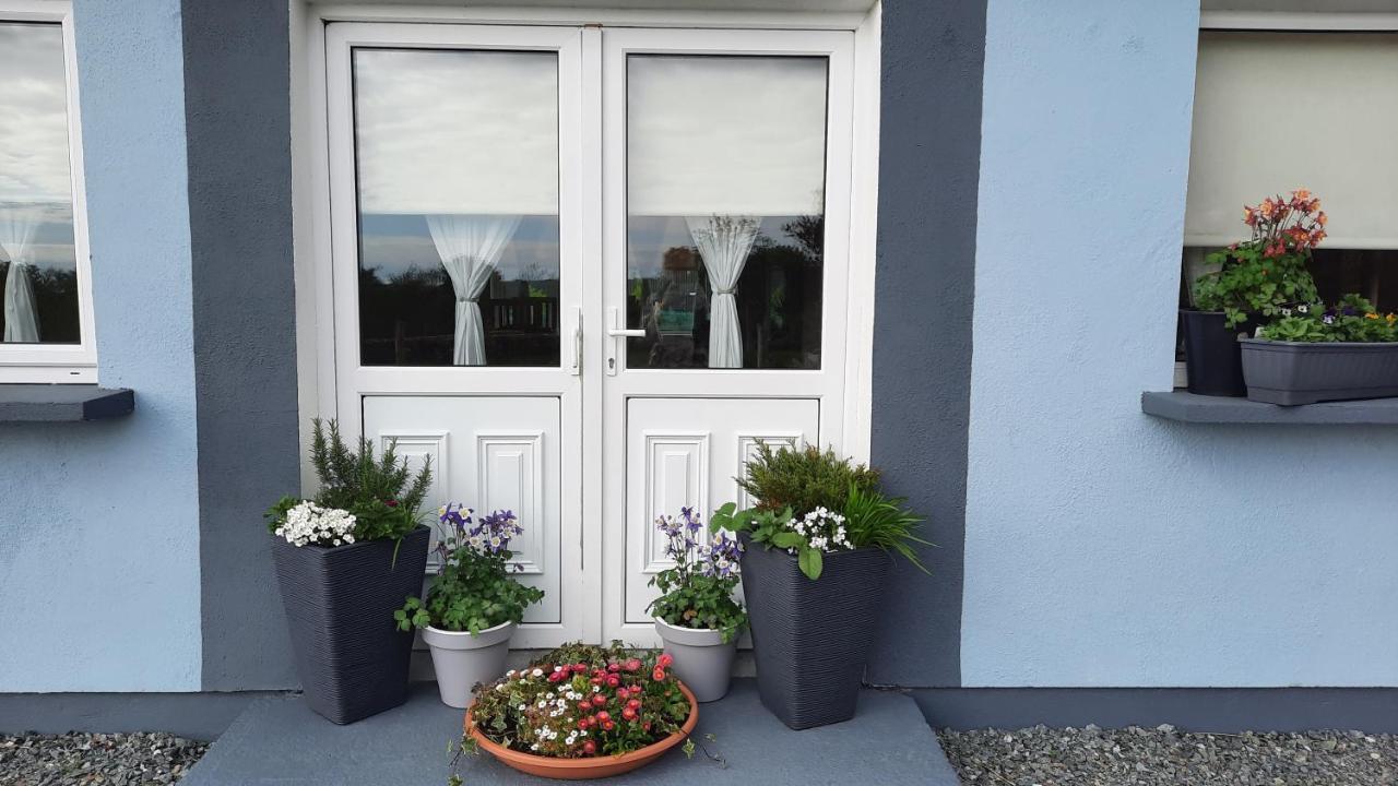Clifden Wildflower Cottage - Clifden Countryside Lettings Екстериор снимка