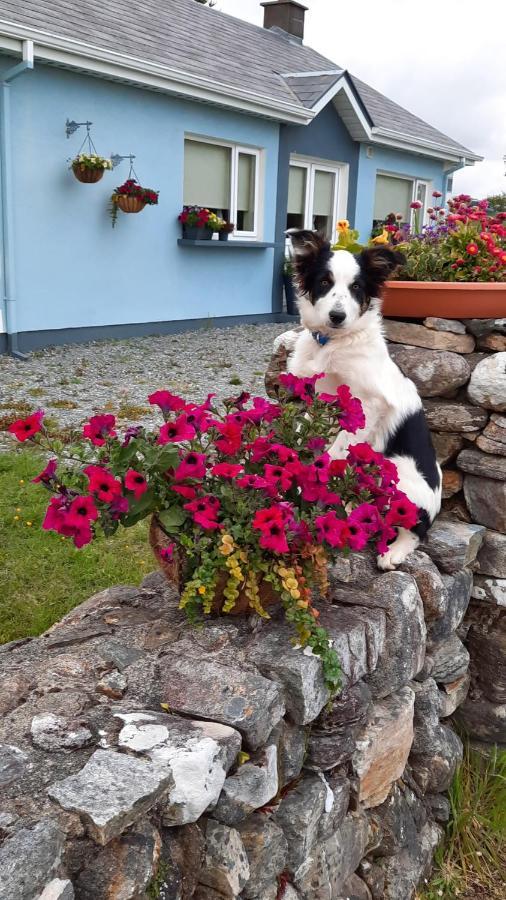 Clifden Wildflower Cottage - Clifden Countryside Lettings Екстериор снимка