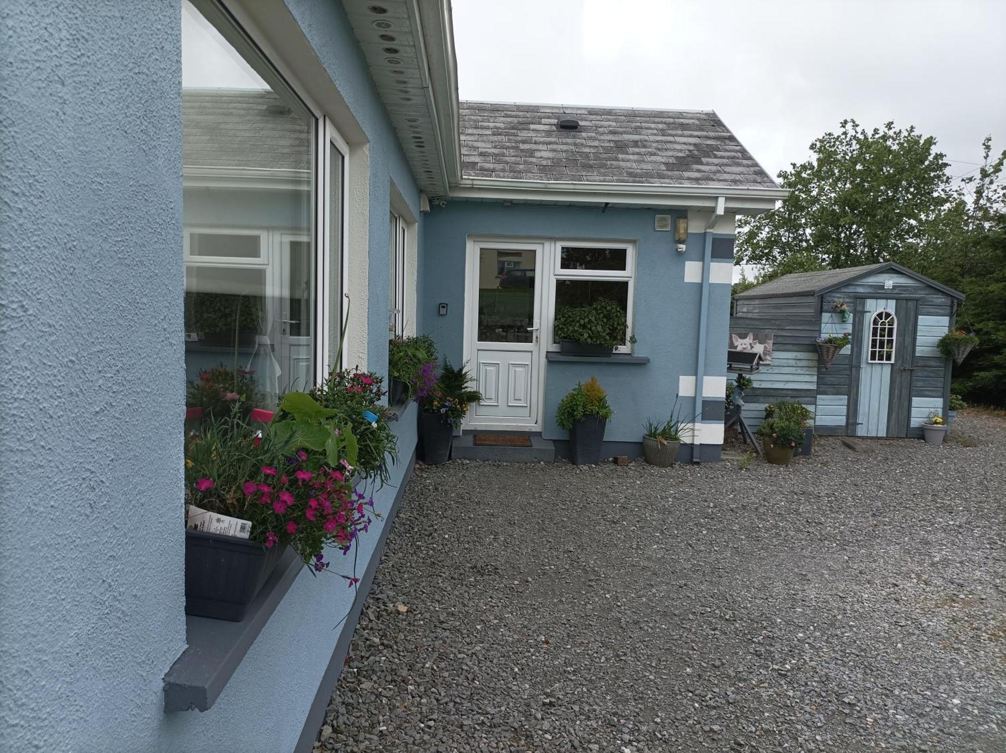 Clifden Wildflower Cottage - Clifden Countryside Lettings Екстериор снимка
