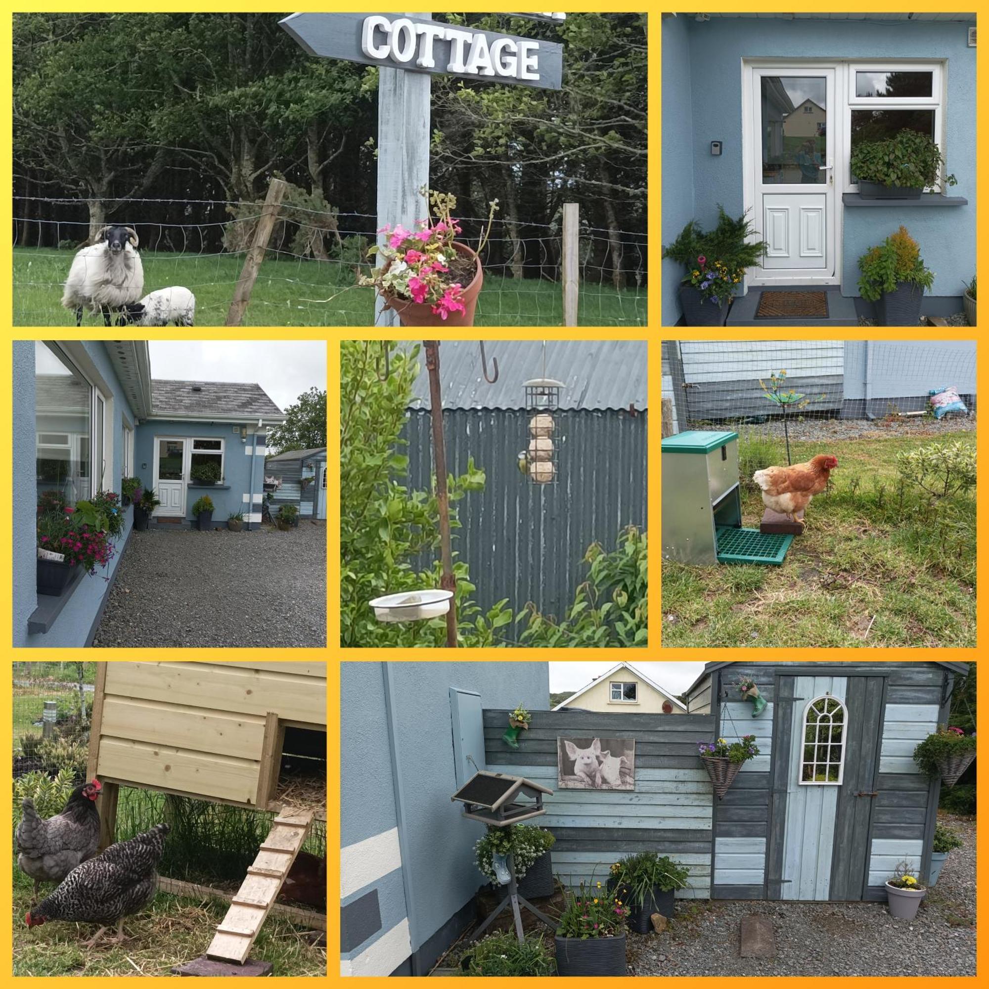 Clifden Wildflower Cottage - Clifden Countryside Lettings Екстериор снимка