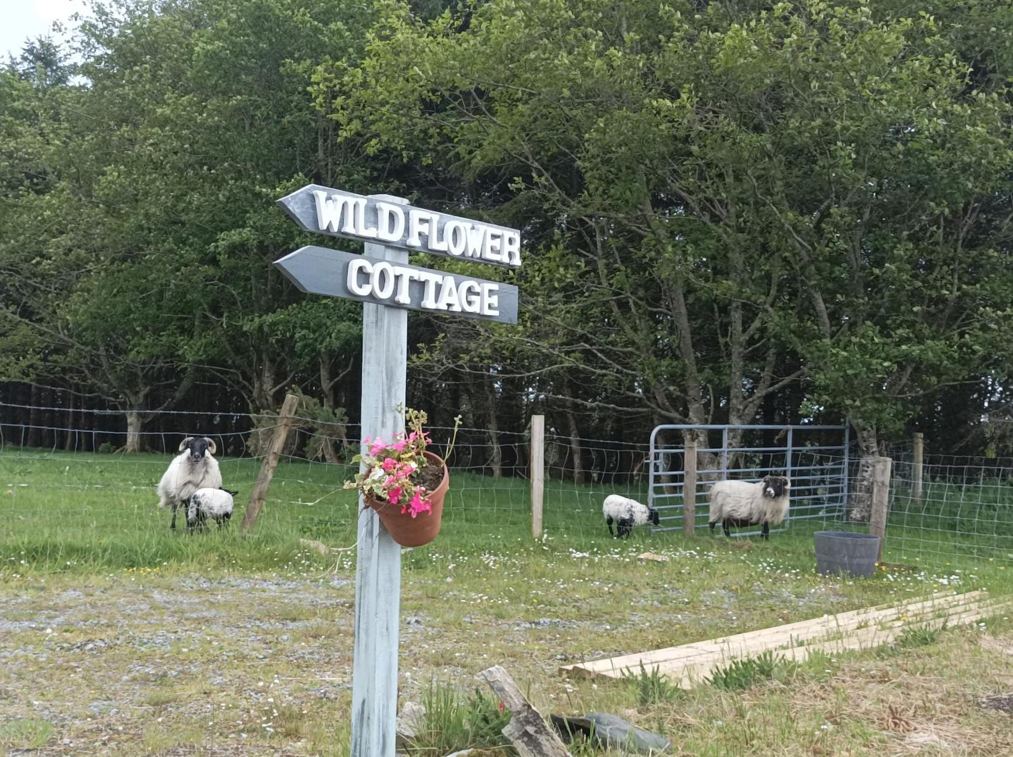 Clifden Wildflower Cottage - Clifden Countryside Lettings Екстериор снимка